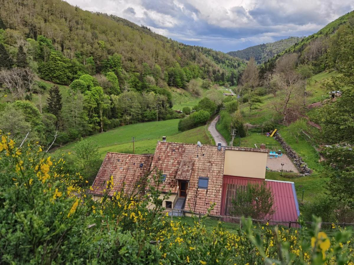 Gite Saint Ludan Rombach-le-Franc Экстерьер фото